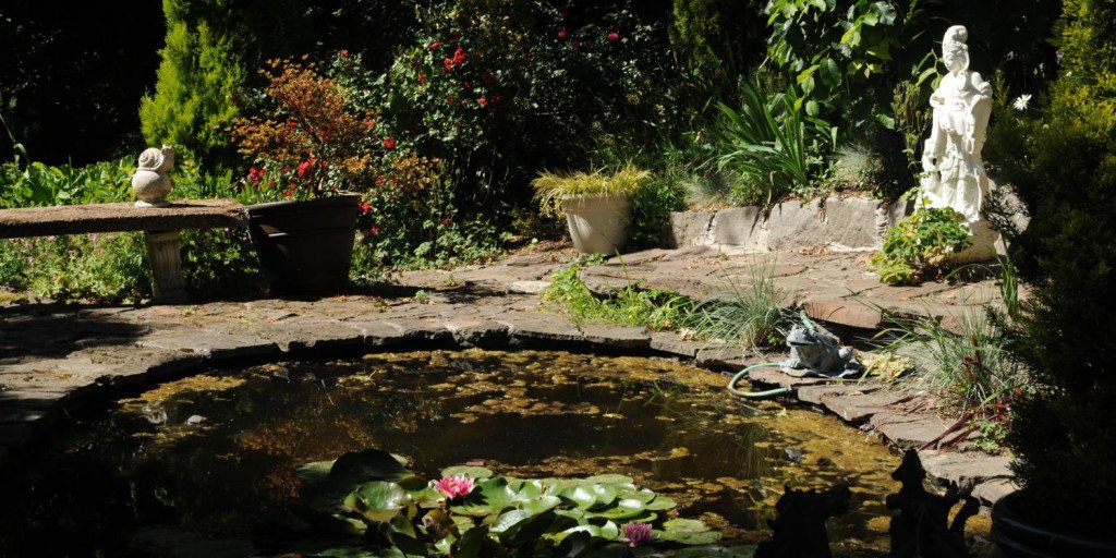 Tetra Pond AlgoFin : traitement de l'eau pour bassin de jardin