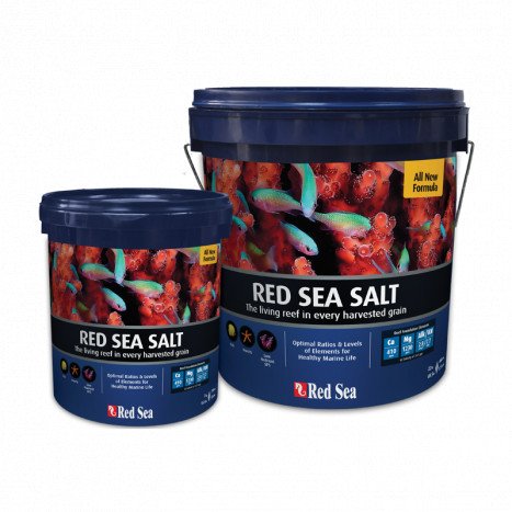 Red sea 22kg