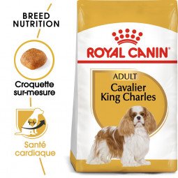Bhn cavalier king charles 3kg