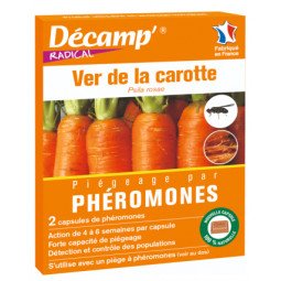Phéromones contre le ver de la carotte decamp'