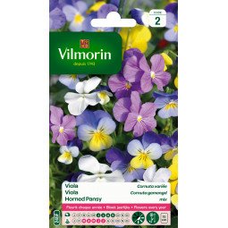 Viola cornuta variee vilmorin serie