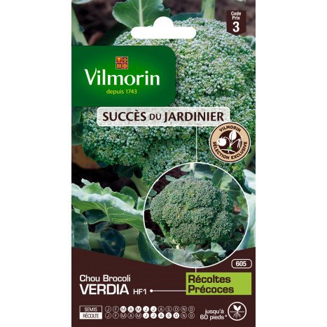Chou brocoli verdia hybride f1 vilm