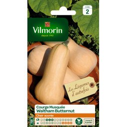 Courge waltham butter.  vl ser2