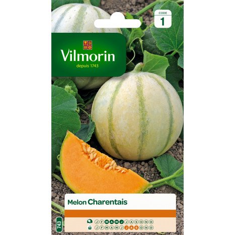 Melon charentais vilmorin serie 1