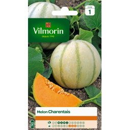 Melon charentais vilmorin serie 1