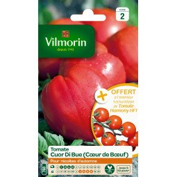 Tomate Cuor Di Bue (Coeur de Boeuf) + echantillon - VILMORIN