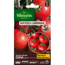 Tomate ronde DONA - VILMORIN