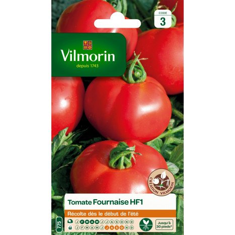 Tomate fournaise hybride f1 vilmori