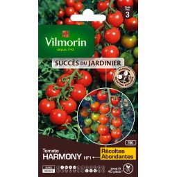 Tomate HARMONY - VILMORIN