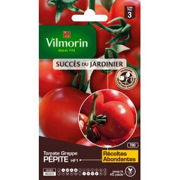 Tomate grappe Pépite - VILMORIN