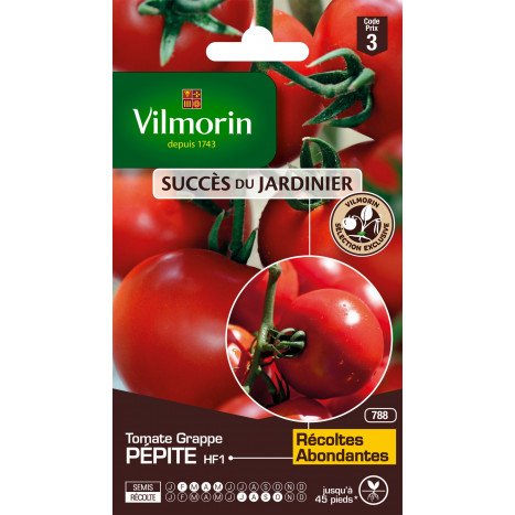 Tomate pepite hybride f1 vilmorin s