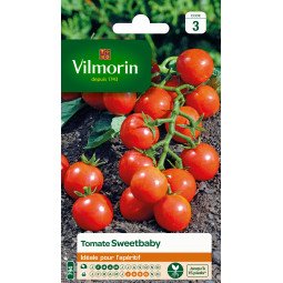 Tomate Sweetbaby - VILMORIN