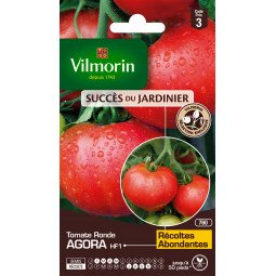 Tomate ronde AGORA - VILMORIN