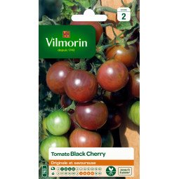 Tomate Black Cherry - VILMORIN