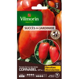 Tomate Cornue des Andes CORNABEL - VILMORIN
