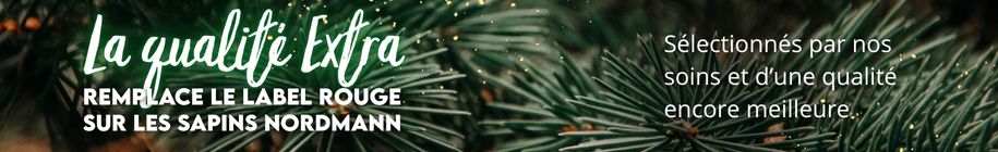 Sapins qualité Extra