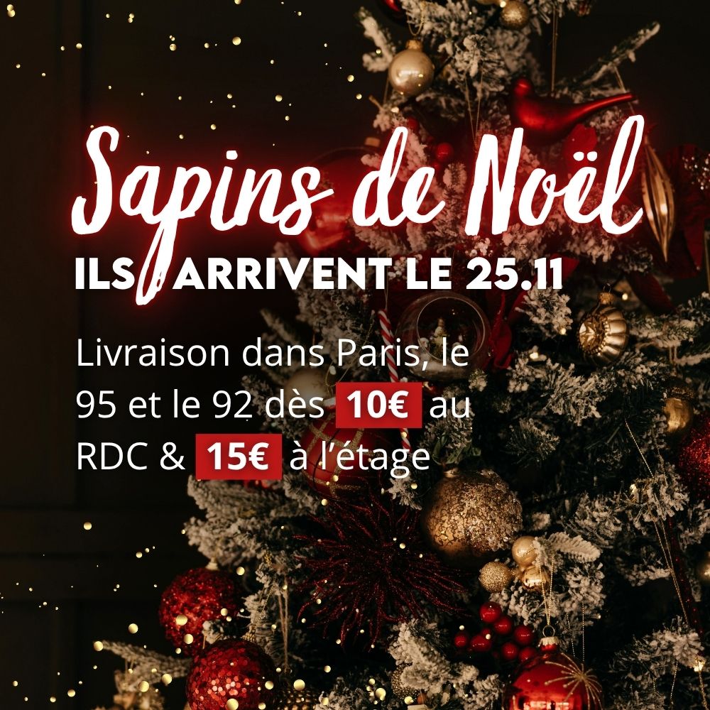 Sapins de Noël