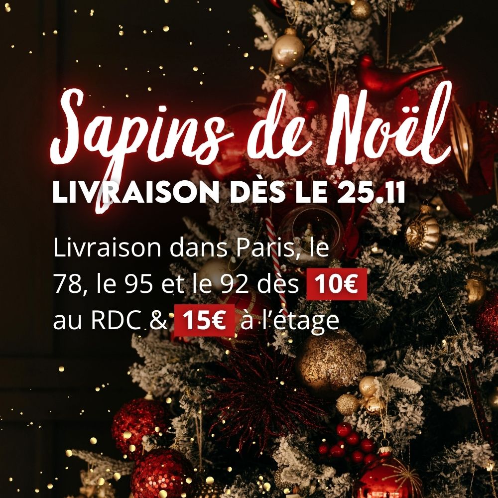 Sapins de Noël